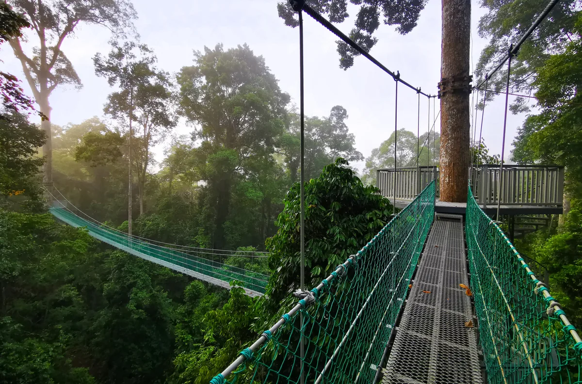 Unique Experiences at Outstanding Hotels That Immerse You in Local Landscapes