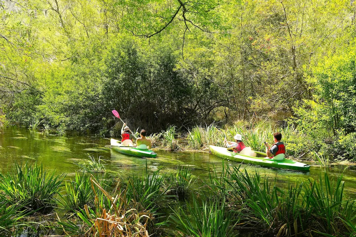 22 Hidden Gems to Explore in Florida