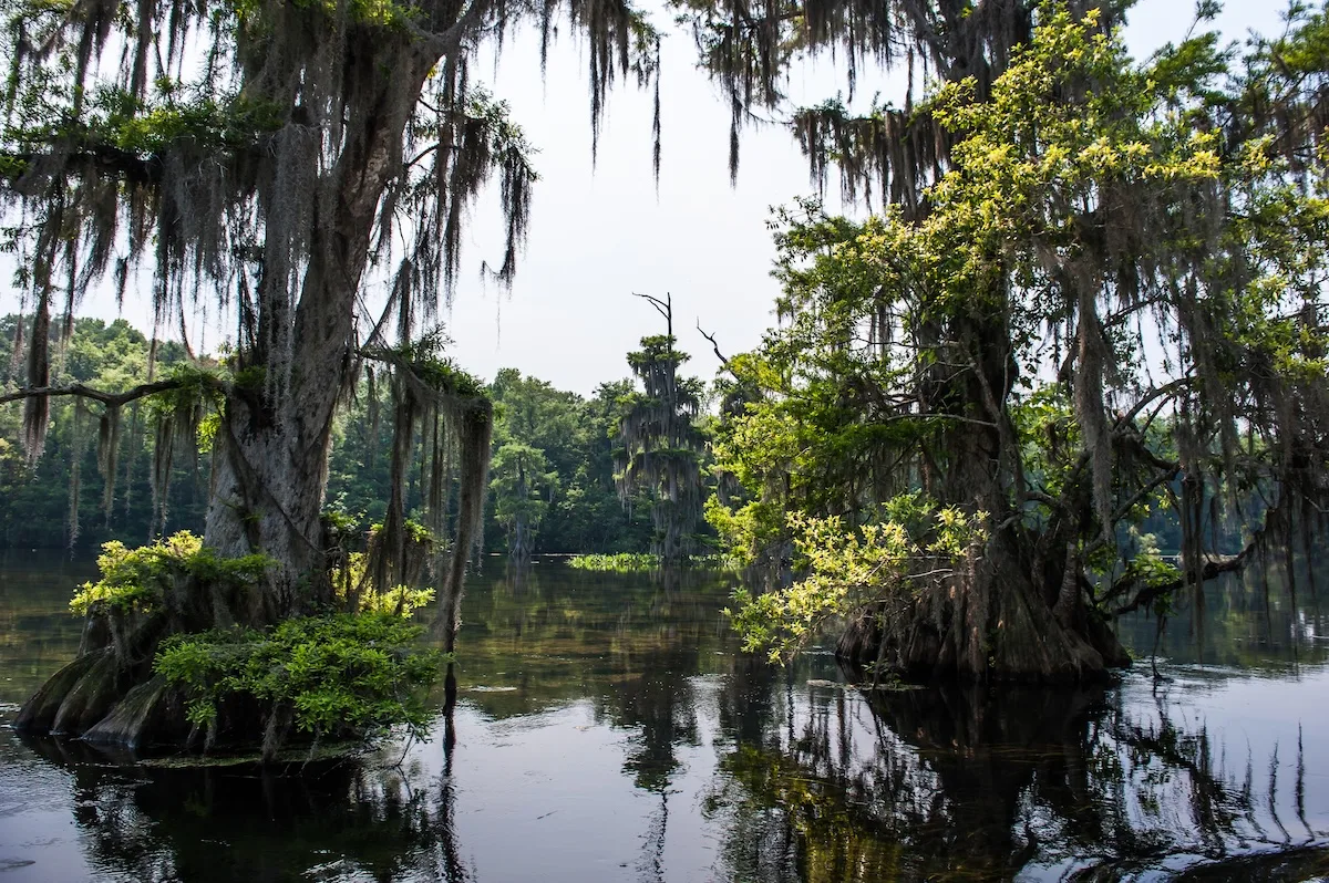 22 Điểm Đến Tại Florida Đáng Để Khám Phá Hơn