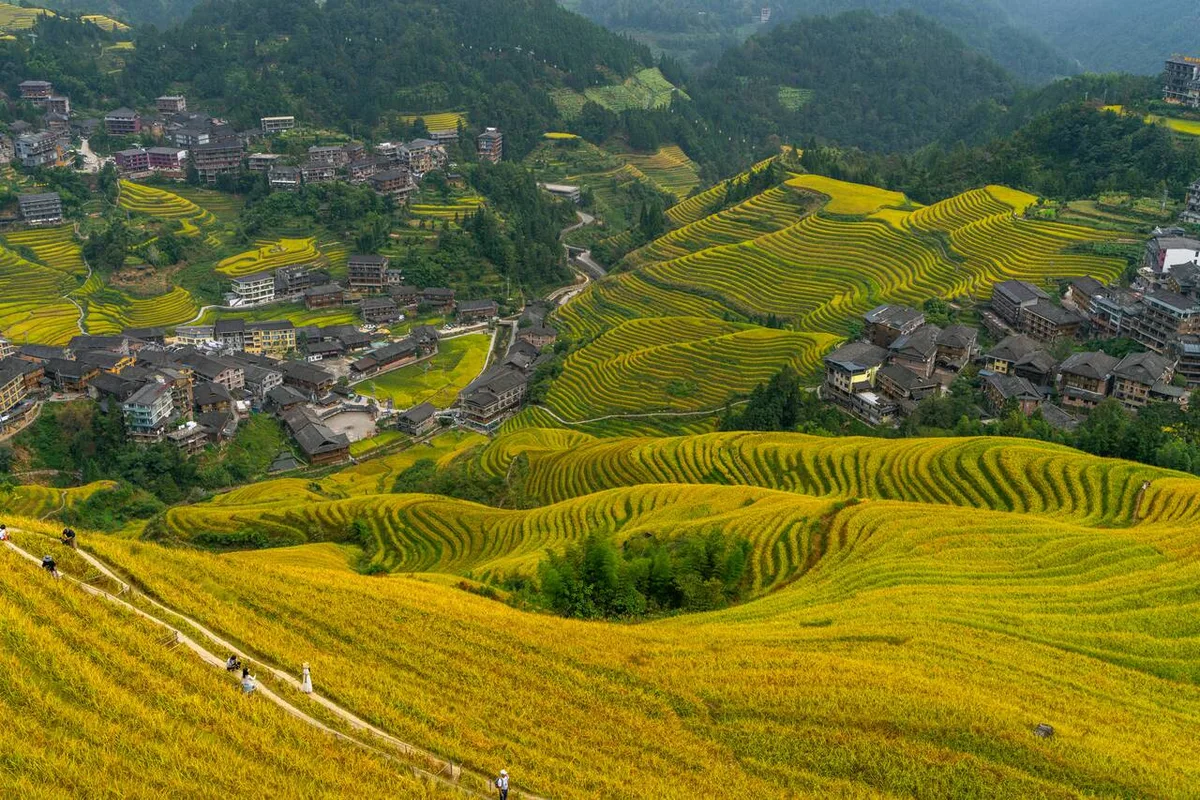 5 Ngày Khám Phá Guilin: Từ Thành Phố Đến Ruộng Bậc Thang