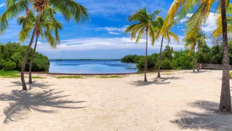 7 Bãi Biển Đẹp Nhất Key Largo - Đừng Bỏ Lỡ!
