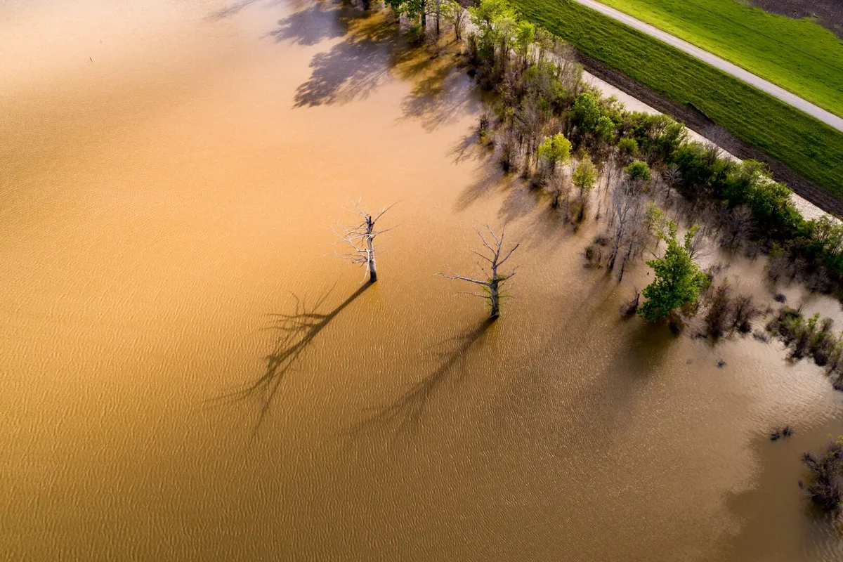 Âm Thanh Mississippi: Hành Trình Qua Những Giai Điệu Blues