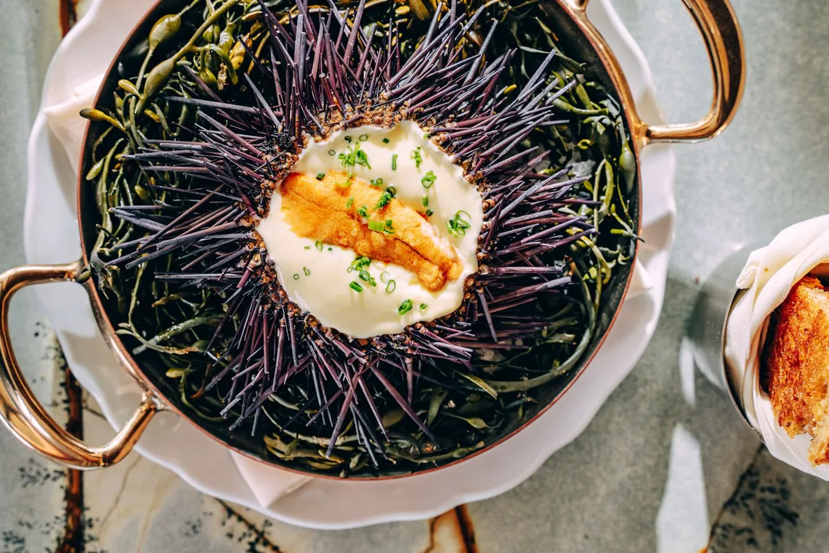 Ẩm Thực San Diego: Cuộc Chuyển Mình Đầy Nhiệt Huyết