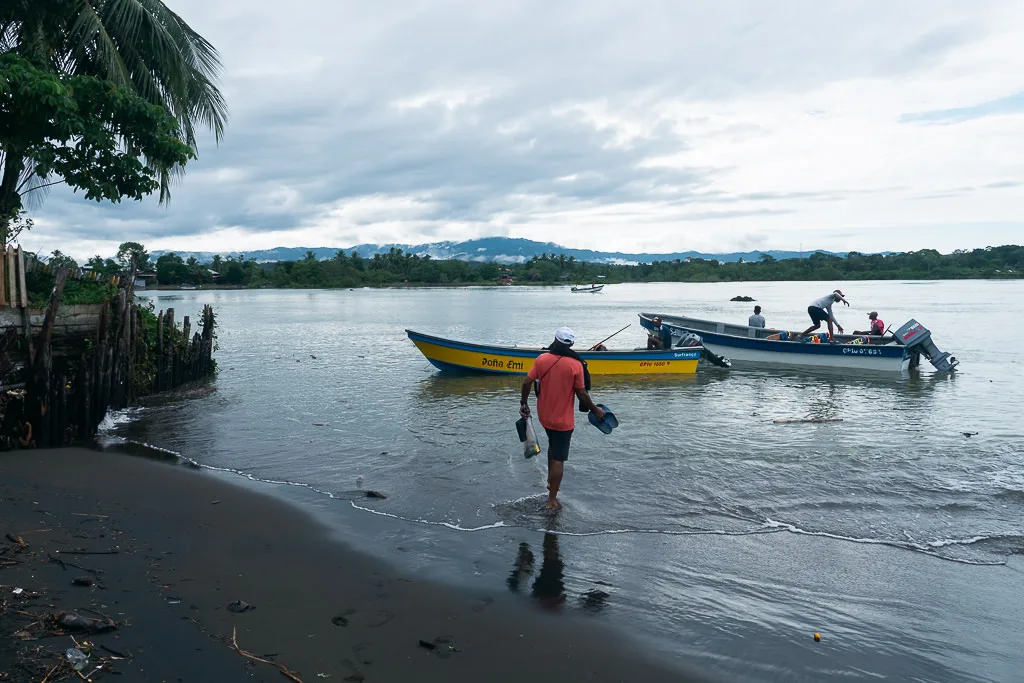 Bật Mí Bahía Solano: Xem Cá Voi Ở Bờ Biển Đầy Hoang Sơ Colombia