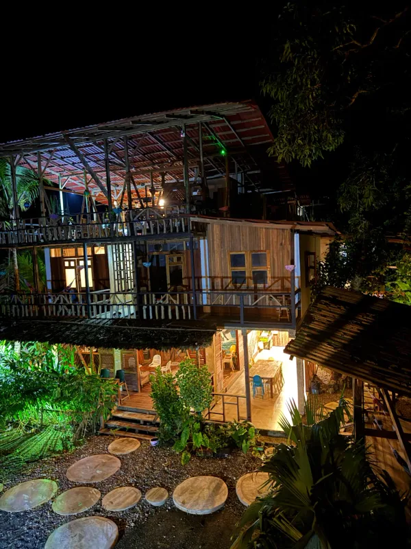 Bật Mí Bahía Solano: Xem Cá Voi Ở Bờ Biển Đầy Hoang Sơ Colombia