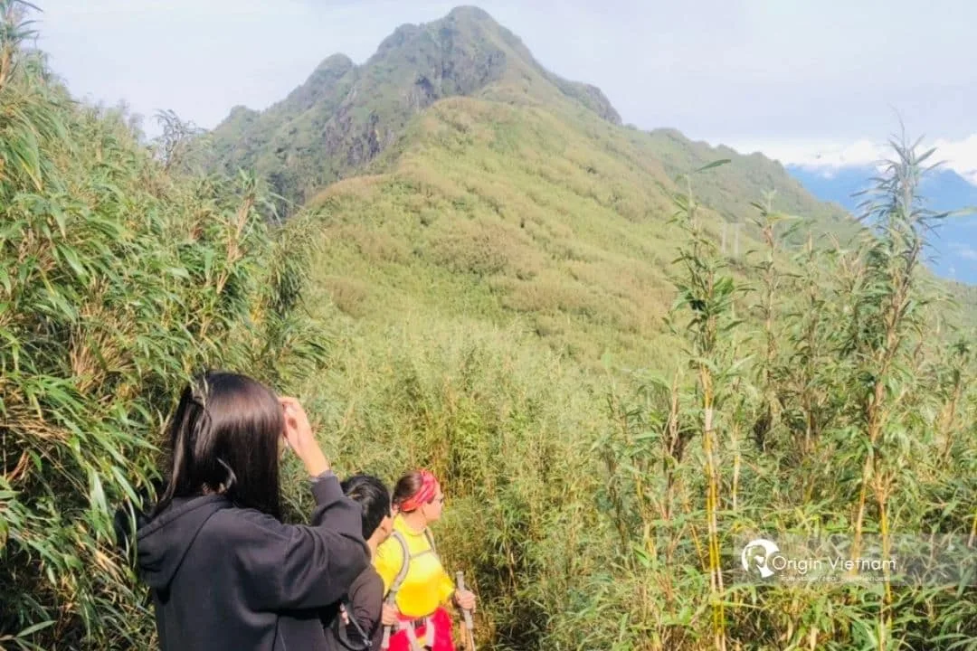 Bỏ Phố Lên Nương: Hành Trình Từ Hà Nội Lên Sa Pa