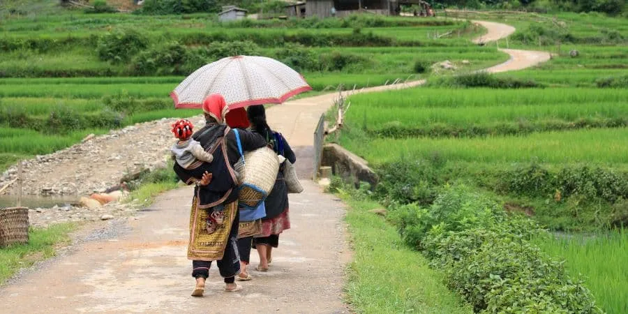 Bỏ Phố Lên Nương: Hành Trình Từ Hà Nội Lên Sa Pa