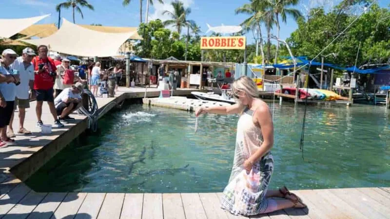 Bữa Sáng 'Ngon Quên Lối Về' Tại Islamorada, Florida