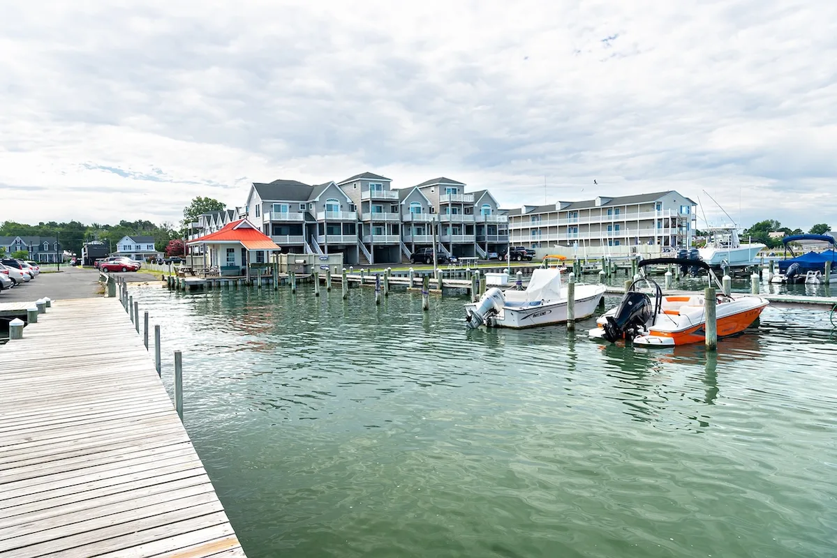 Chincoteague: Hòn Đảo Thanh Bình Ở Virginia Với Biển Trống Và Những Đêm Yên Tĩnh