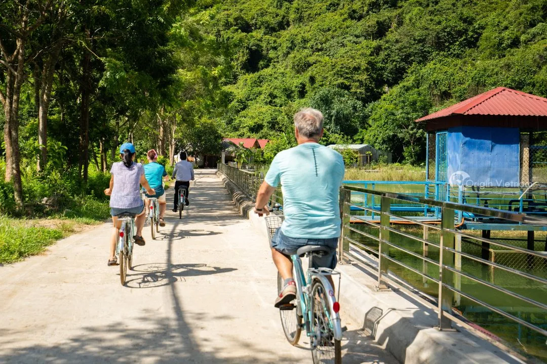 Chọn Nơi Nghỉ Ngơi Thích Hợp Khi Đến Đảo Cát Bà