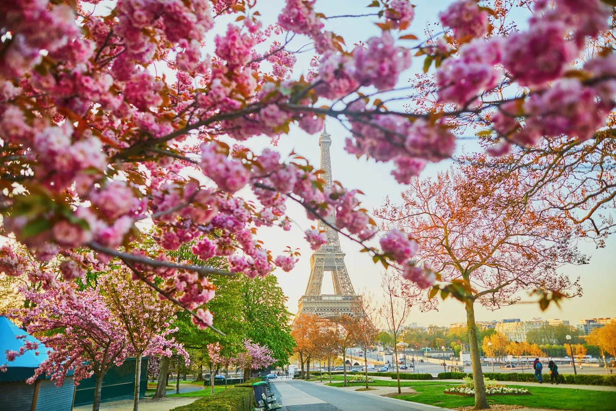 Travel Deals You Can't Miss: April 2026 Promotions