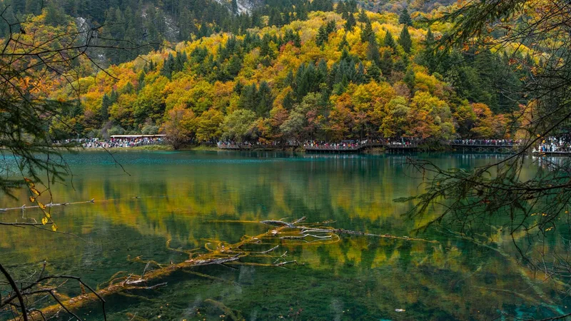 Exploring Jiuzhaigou: Your Essential Guide