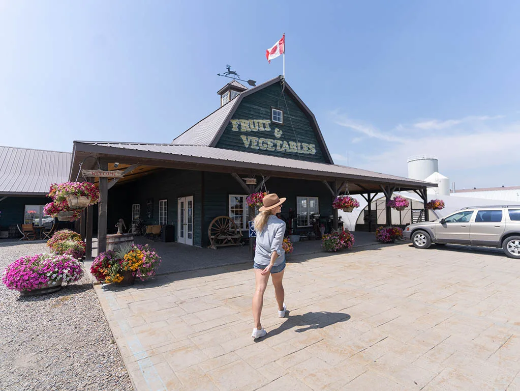 Điểm Đến Hấp Dẫn Ở Lethbridge, Alberta: Trải Nghiệm Khó Quên