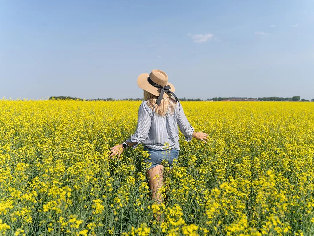 Điểm Đến Hấp Dẫn Ở Lethbridge, Alberta: Trải Nghiệm Khó Quên