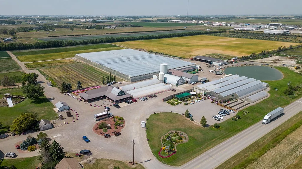 Điểm Đến Hấp Dẫn Ở Lethbridge, Alberta: Trải Nghiệm Khó Quên