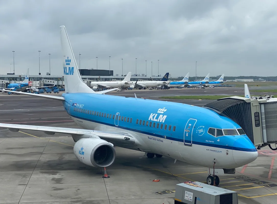 Giảm Giá 25% Vé Thưởng Cho Trẻ Em của Chương Trình Flying Blue của Air France-KLM