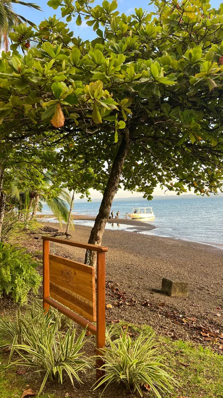 Golfo Dulce: Thiên Đường Hoang Sơ Ẩn Mình ở Costa Rica