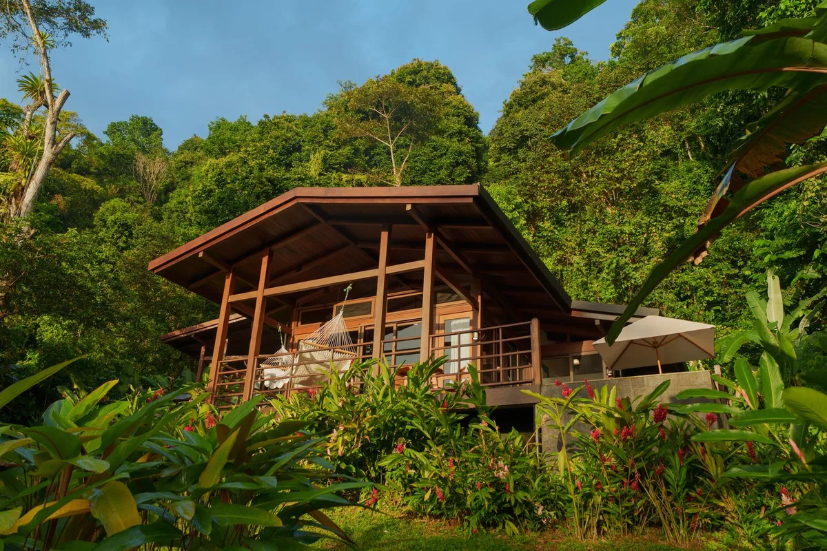 Golfo Dulce: Thiên Đường Hoang Sơ Ẩn Mình ở Costa Rica