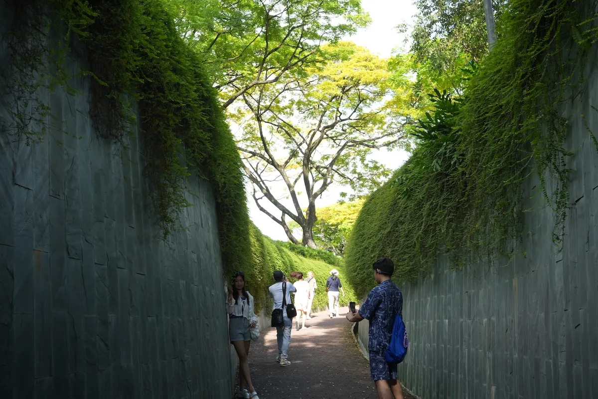 Hầm Cây Fort Canning: Chốn Thần Tiên Giữa Singapore
