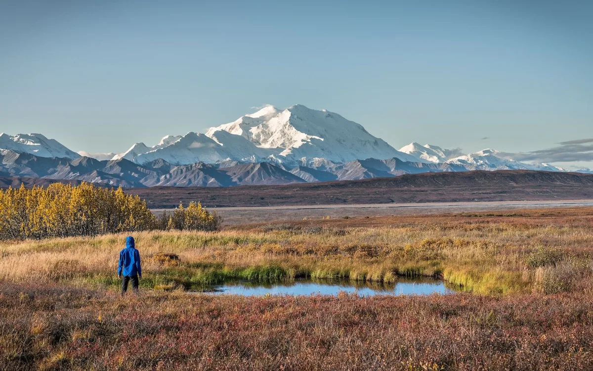 Hành Trình Đến Denali Backcountry Lodge: Kinh Nghiệm Độc Đáo Từ Alaska