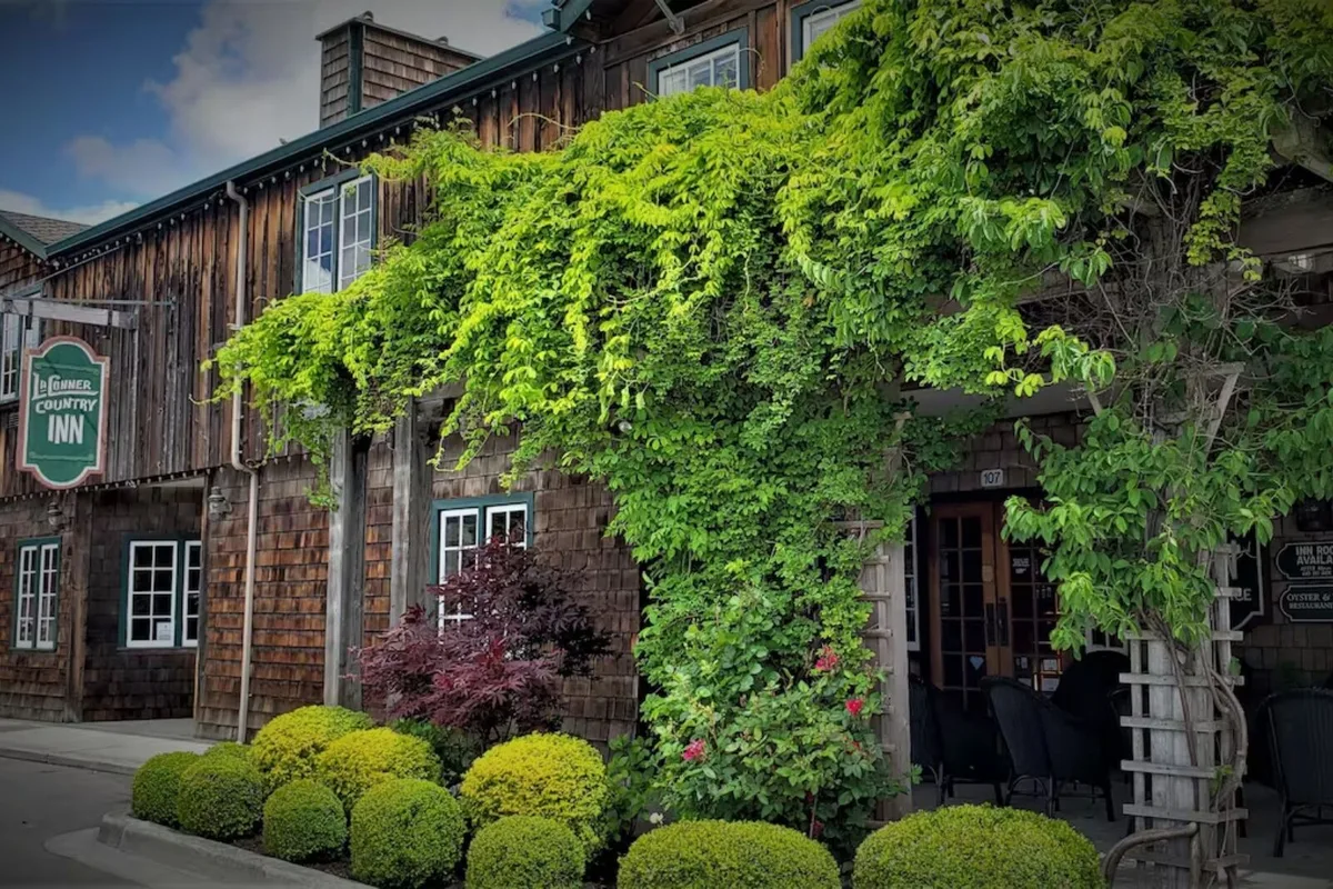 Hành Trình Dọc Đường Đến Xứ Hoa Tulip Của Washington