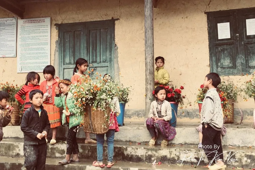 Hành Trình Phượt Hà Giang: Nguy Hiểm Hay An Toàn?