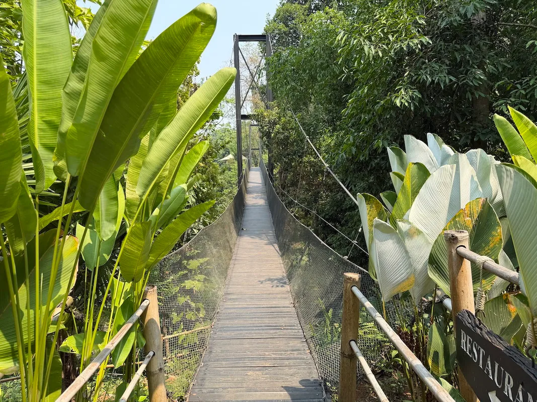 Hành Trình Sinh Nhật Đặc Biệt Tại Vùng Tam Giác Vàng Thái Lan