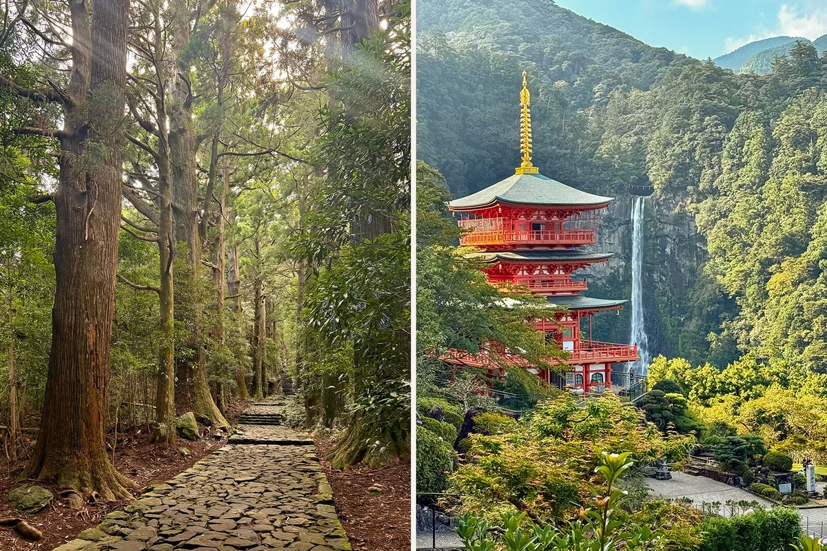 Hành Trình Tìm Kiếm Sự Tái Sinh Trên Đường Mòn Kumano Kodo
