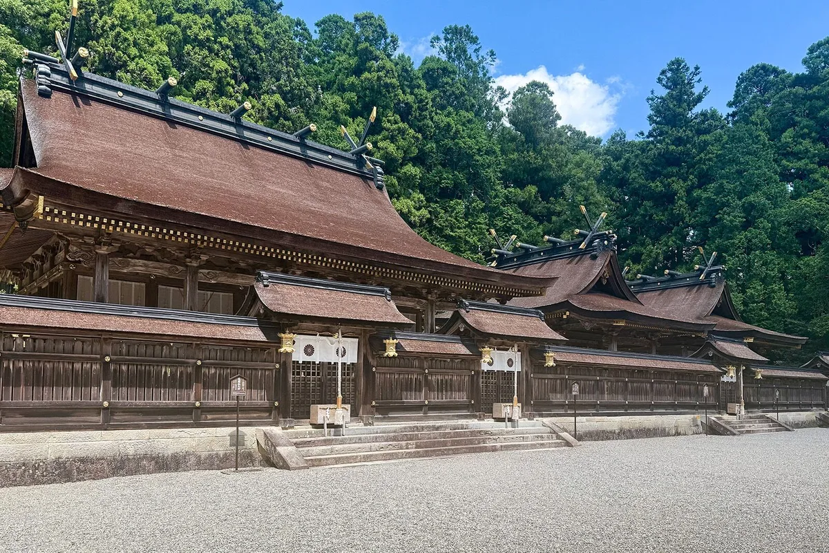 Hành Trình Tìm Kiếm Sự Tái Sinh Trên Đường Mòn Kumano Kodo