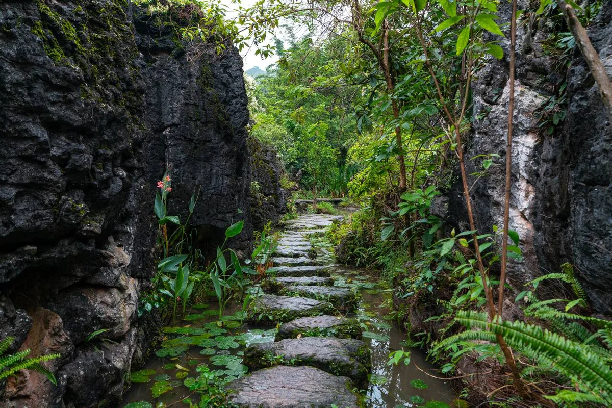 Huangguoshu Waterfall: Hướng Dẫn Du Lịch Chi Tiết Từ A-Z