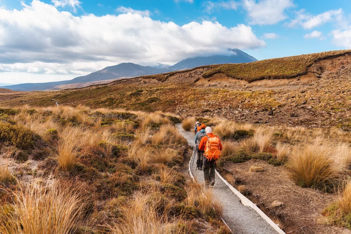Hướng Dẫn Chi Tiết Về Visa Kỳ Nghỉ Làm Việc New Zealand