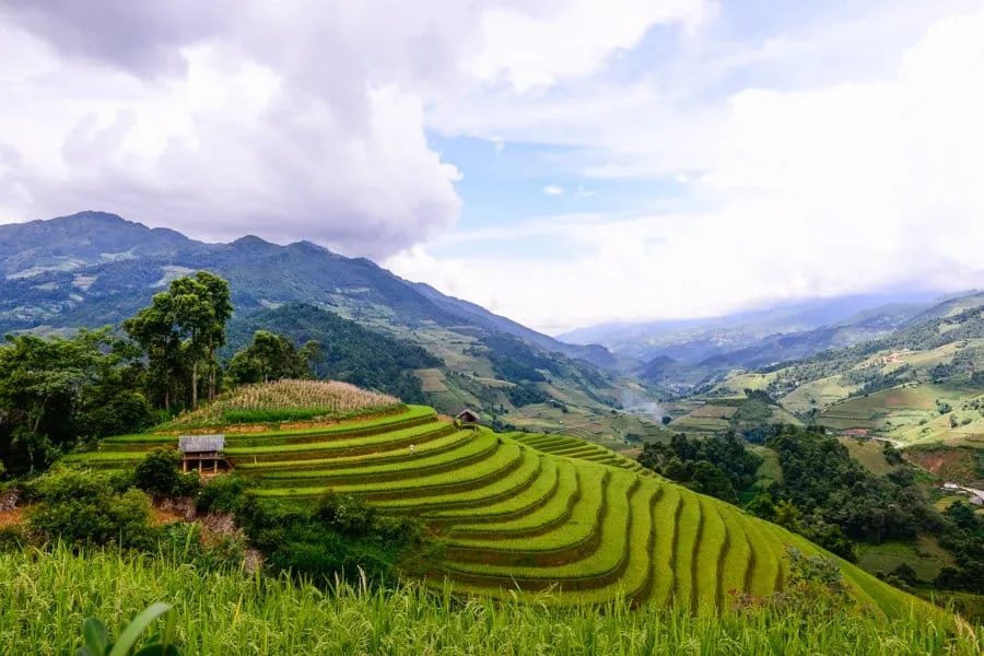 Hướng Dẫn Di Chuyển Từ Hà Nội Đến Mù Cang Chải: Mọi Thông Tin Cần Thiết