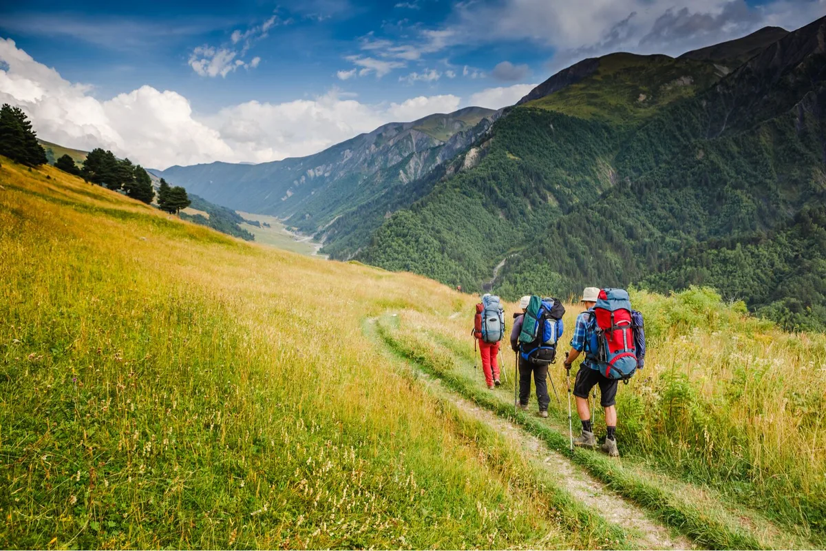 Your Ultimate Guide to Summer Camping Gear