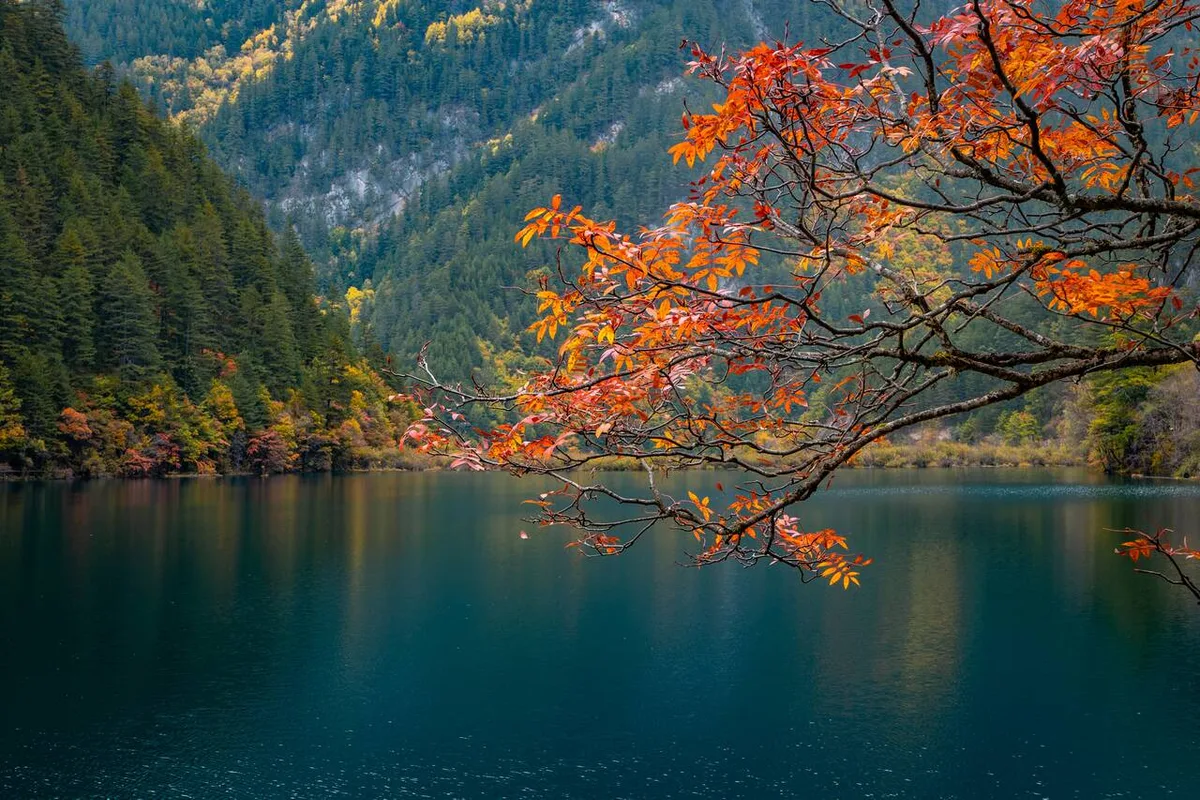 Jiuzhaigou: Kỳ Quan Thiên Nhiên Đẹp Nhất Trung Quốc