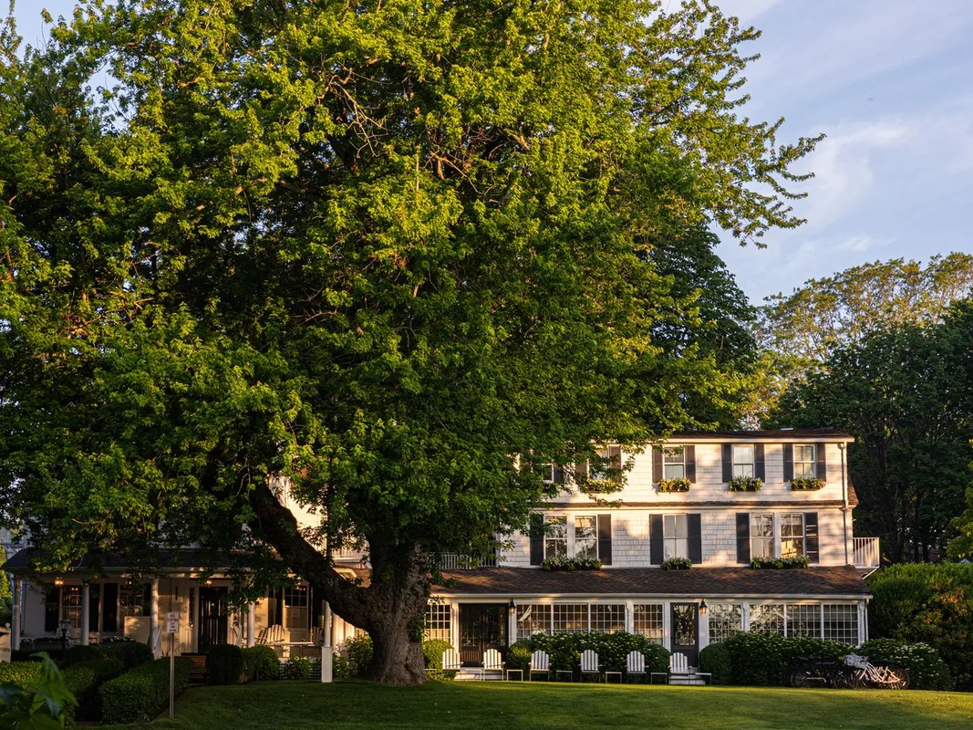 Khách Sạn Tốt Nhất Ở Hamptons: Bí Mật Của Người New York