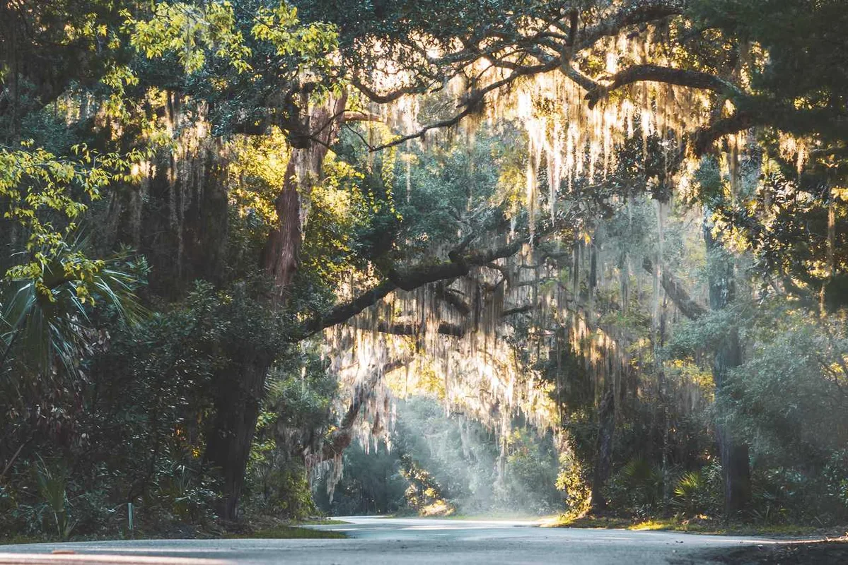 Khám Phá Amelia Island, Florida: Nơi Tận Hưởng Du Lịch Chậm Rãi