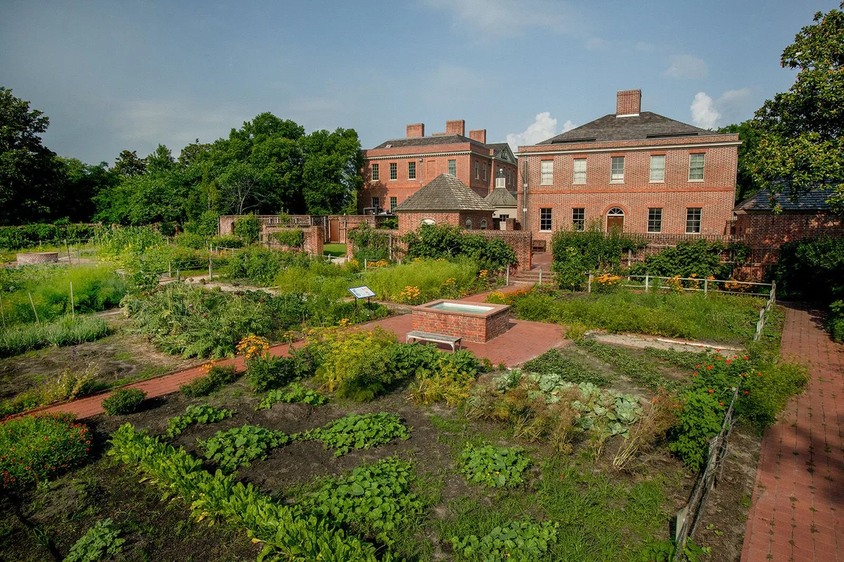 Exploring North Carolina Through Classic Films