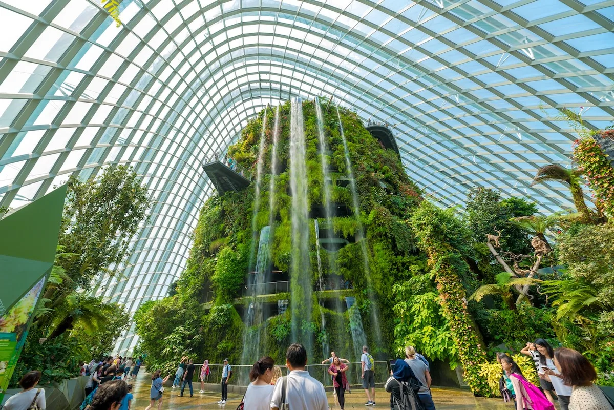 Khám Phá Cloud Forest: Kỳ Quan Rừng Mây Giữa Lòng Singapore