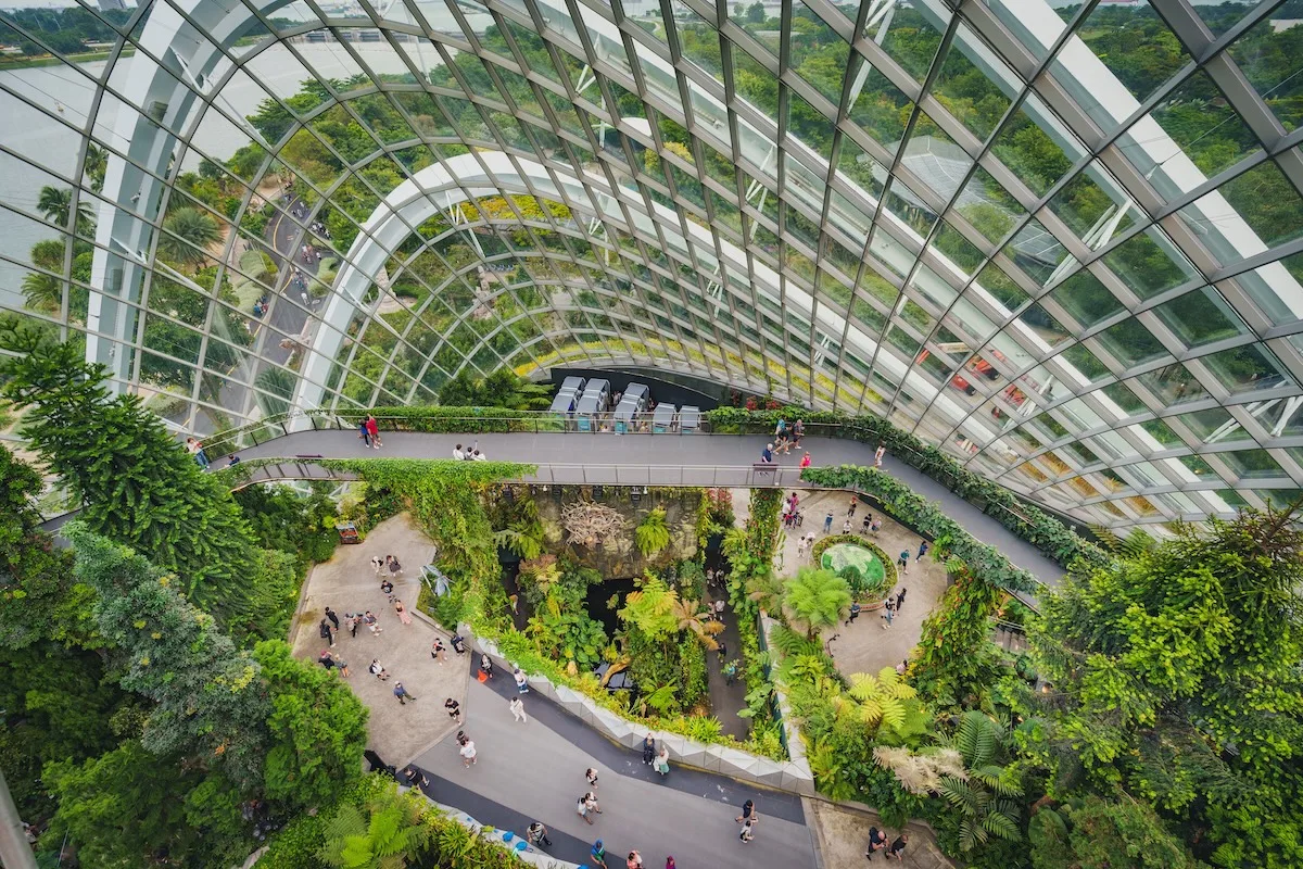 Exploring the Cloud Forest: A Marvel of Nature in the Heart of Singapore