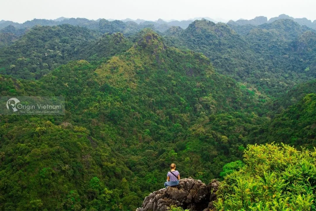 Exploring Cat Ba Island: Must-Do Activities