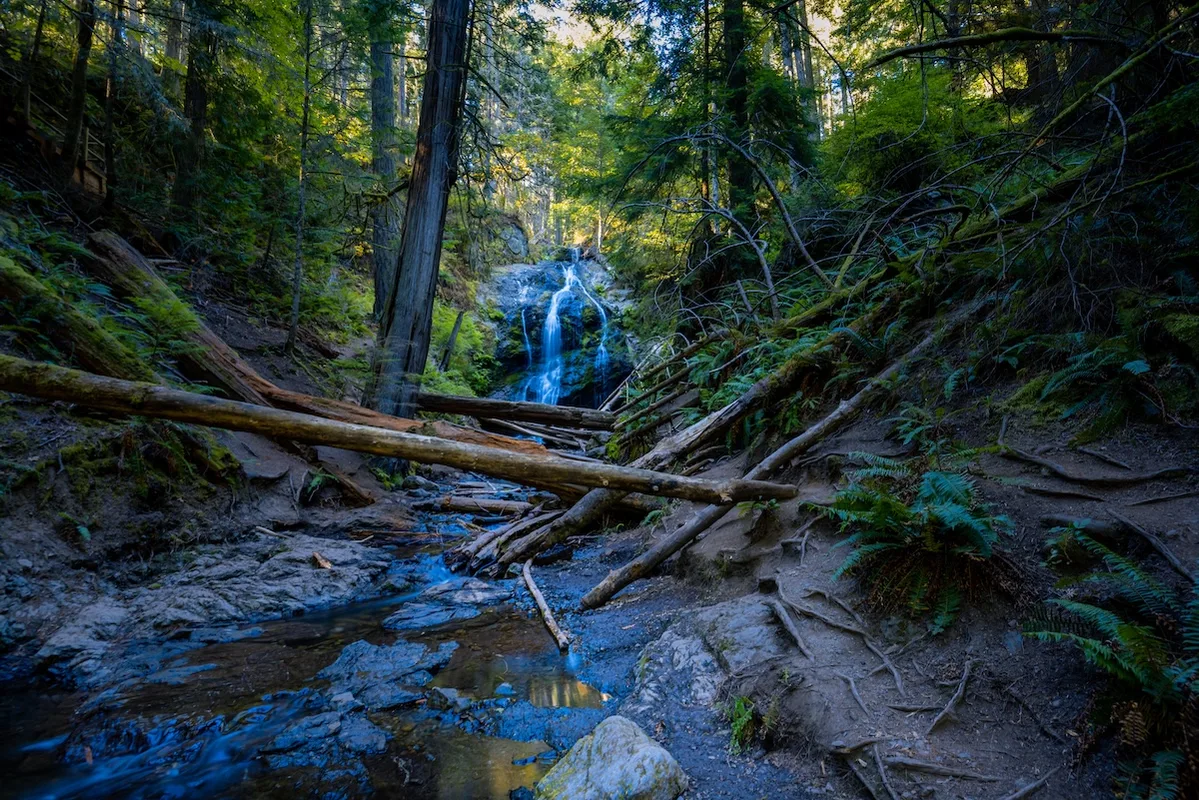 Exploring Orcas Island: A Peaceful Paradise in Washington