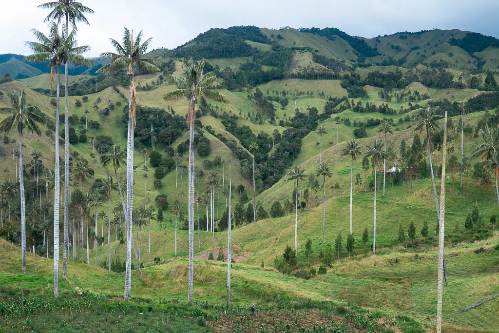 Khám Phá Filandia - Ngôi Làng Bí Mật Của Colombia