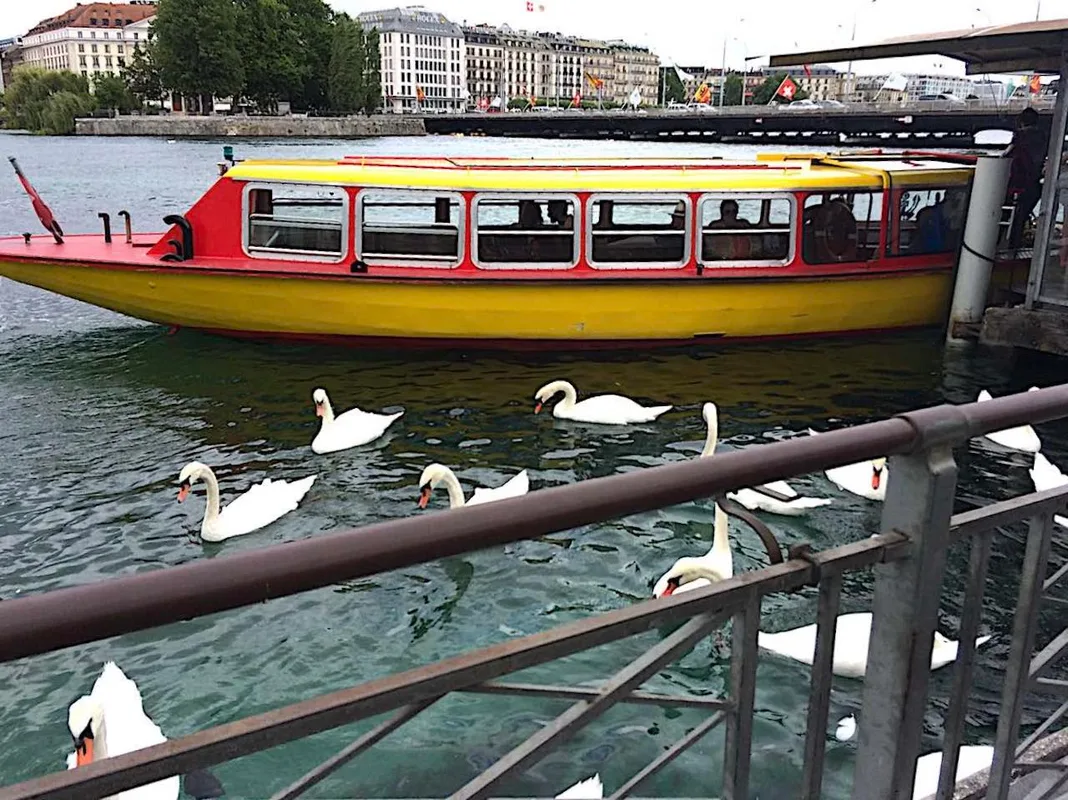 Khám Phá Geneva Trong 48 Giờ: Hướng Dẫn Dành Cho Du Khách Việt Nam