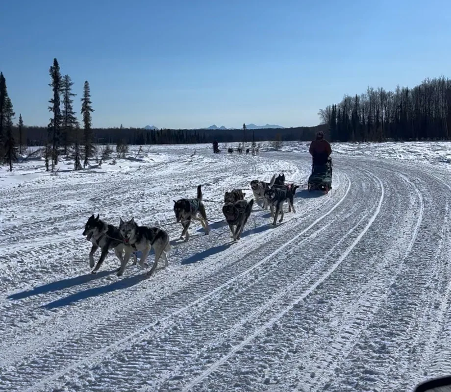 Khám Phá Giấc Mơ Tuyết Trắng và Tương Lai Trượt Tuyết ở Alaska