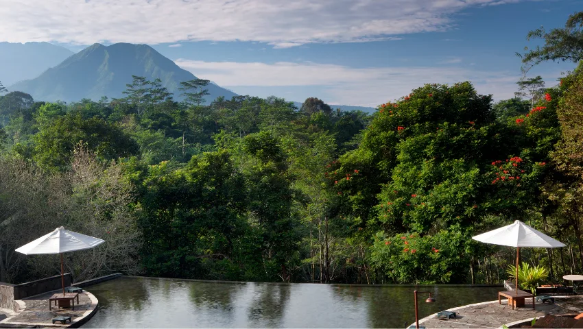 Khám Phá Indonesia: Các Loại Tàu, Lộ Trình và Lựa Chọn Du Khách