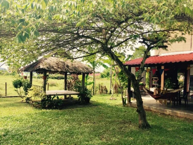 Khám Phá Langkawi: Thiên Đường Bãi Biển, Rừng Ngập Mặn và Thác Nước