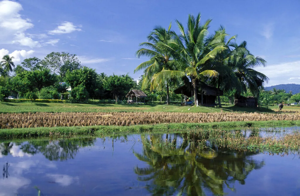 Khám Phá Langkawi: Thiên Đường Bãi Biển, Rừng Ngập Mặn và Thác Nước