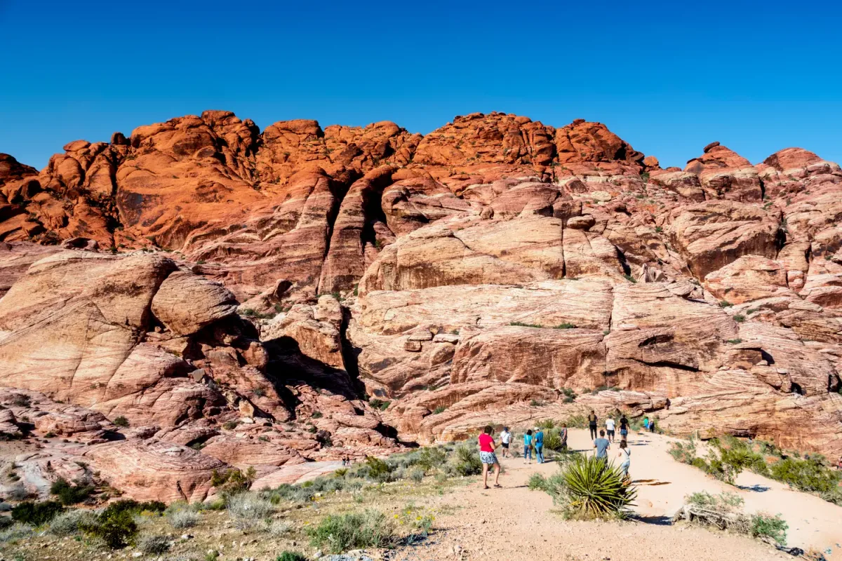 Khám Phá Las Vegas: Hơn Cả Ánh Đèn Sáng Ngời