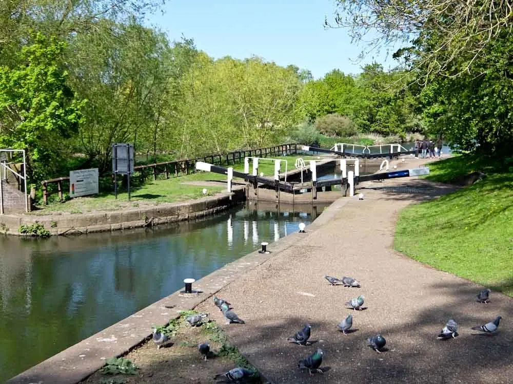 Khám Phá Leicester: Hơn Cả Một Vị Vua Chết Trong Bãi Đỗ Xe