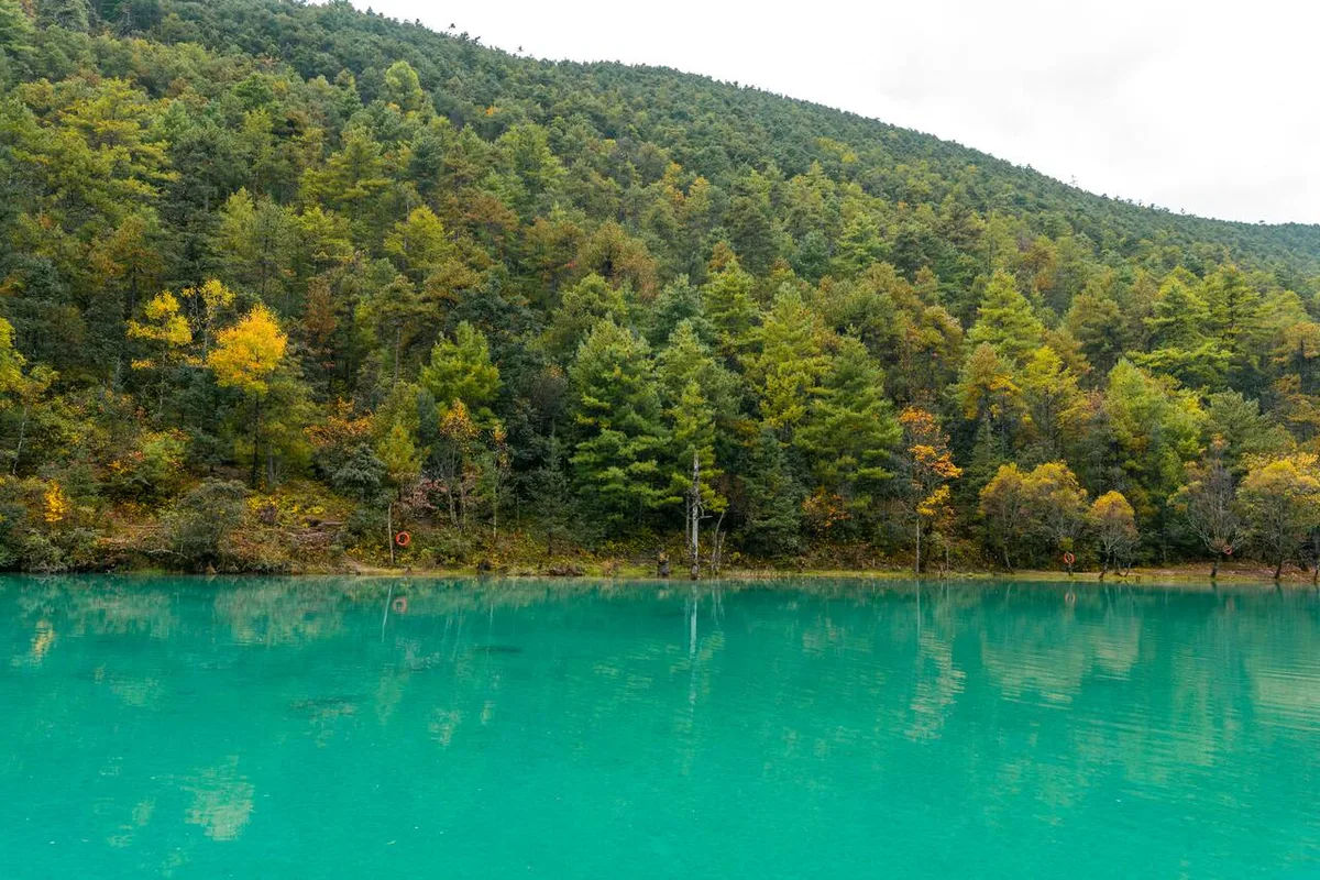 Khám Phá Lijiang: 10 Hoạt Động Không Thể Bỏ Lỡ